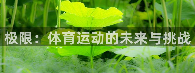球客岛