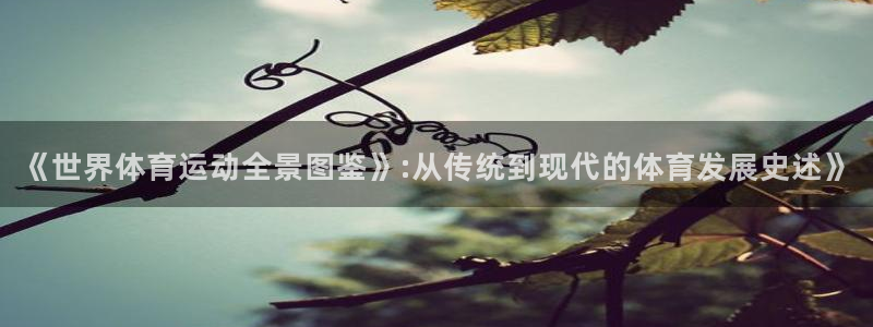 球客岛