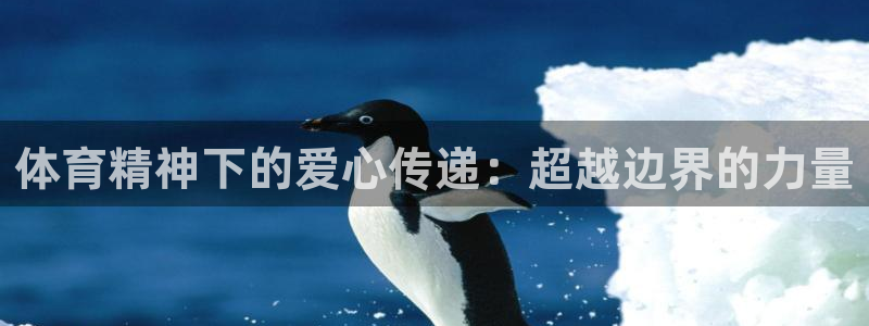 球客岛