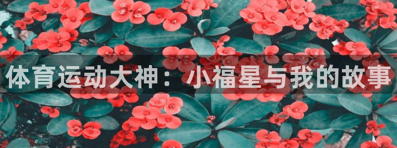 球客岛