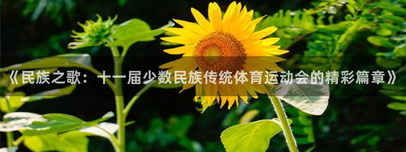球客岛