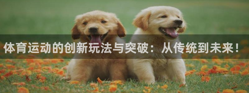 球客岛