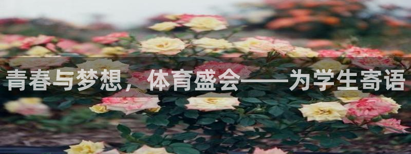 球客岛