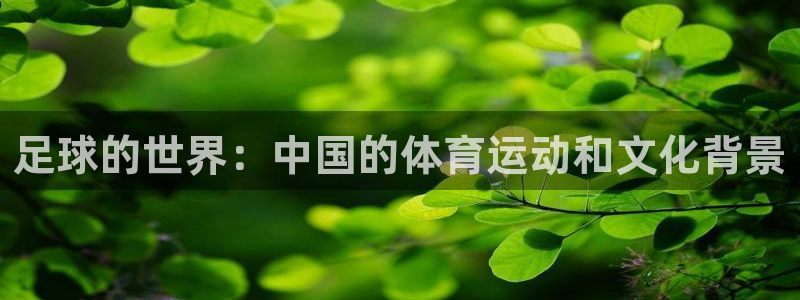 球客岛