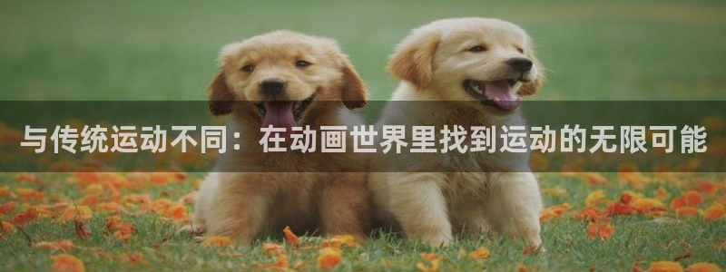 球客岛