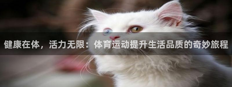球客岛