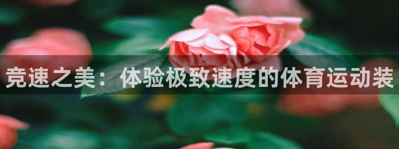 球客岛