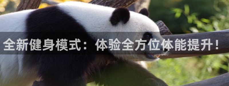 球客岛