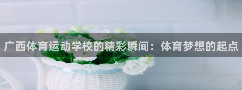 球客岛